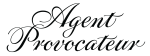 agent_logo_V2